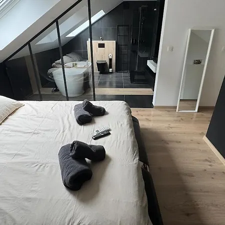 Baloo Avec Piscine Et Jacuzzi * Mellet